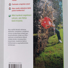 Golf : ongelmia & ratkaisuja : korjaa yleisimmät virheesi - pikkukuva 2