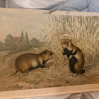 Vanha opetustaulu / koulutaulu kaksipuol. hamsterit + linnut - pikkukuva 2