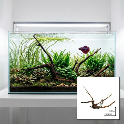 Uniikki akvaariojuurakko 80 cm | nr5