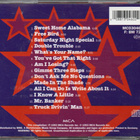 LYNYRD SKYNYRD - A retrospective CD - pikkukuva 2