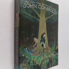 John Connolly : The Book of Lost Things - pikkukuva 1