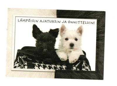 °"KOIRAT...Lämpöisin ajatuksin & Onnitteluin"° -KORTTI/Karto