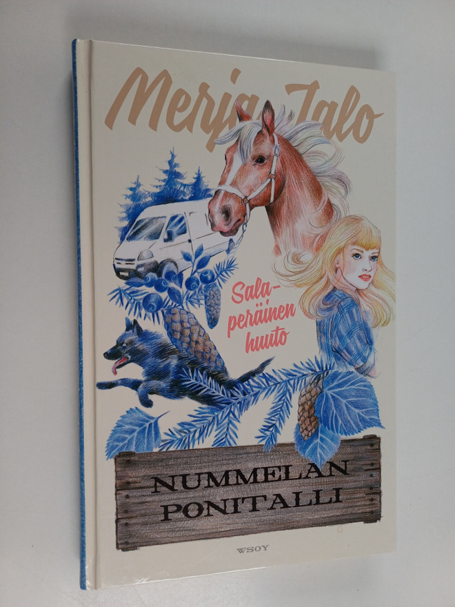 Merja Jalo : Salaperäinen huuto