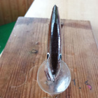 8cm jalokala Vaappu 3,7g - pikkukuva 3