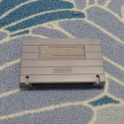 SimAnt USA SNES - pikkukuva 2
