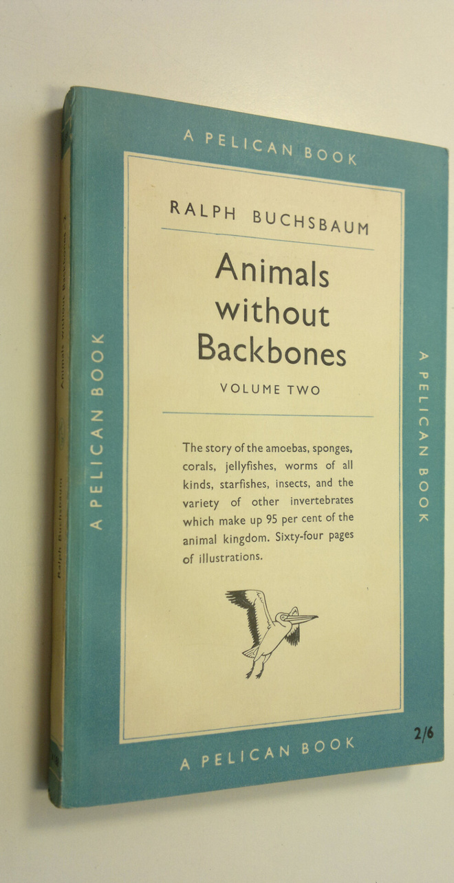 Ralph Buchsbaum : Animals without Backbones : An Introduc...