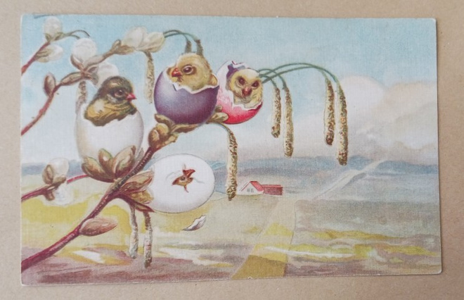 Tiput kuoriutumassa pajunkissojen oksilla, kulk. 1923