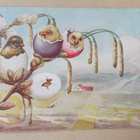 Tiput kuoriutumassa pajunkissojen oksilla, kulk. 1923 - pikkukuva 1