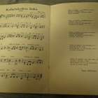 TUKKILAISLAULUJA VANHA LAULUVIHKO - pikkukuva 4