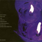 SVARTSINN - Devouring Consciousness v.2002 - pikkukuva 2