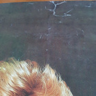 Kim Wilde julisteet 2 kpl (isot) - pikkukuva 4