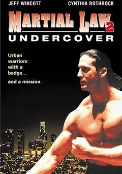 Martial Law 2: Undercover (DVD)