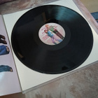 Aki & Turo And The Hepamamas – Lievä Kantri Huijaus LP - pikkukuva 3