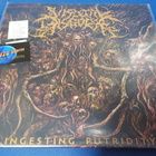 VISCERAL DISGORGE - INGESTING PUTRIDITY M-/M- LP - pikkukuva 1