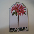 Jääkaappimagneetti 3 kpl Chelsea Flower Show - pikkukuva 5