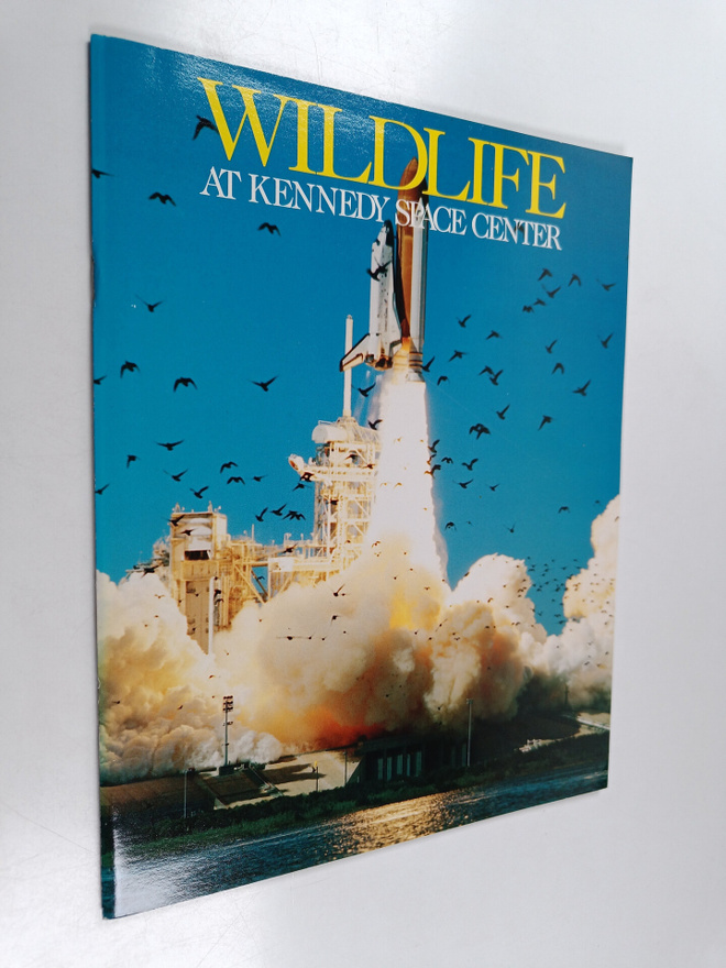 Derek Dugan : Wildlife at kennedy space center