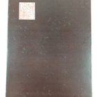 Xie Zhi-Liu : Famous paintings in shanghai - pikkukuva 2
