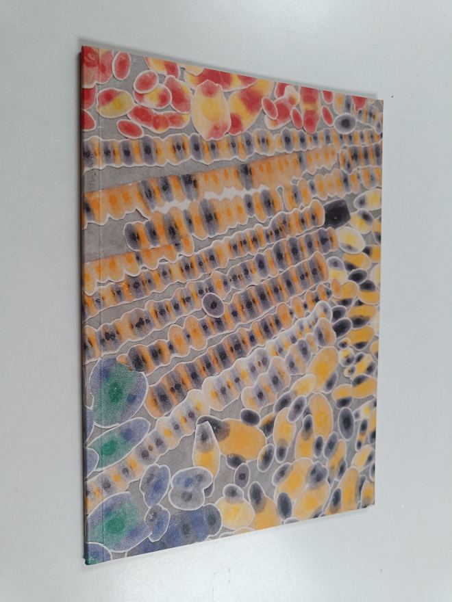 Polly Apfelbaum : Polly Apfelbaum