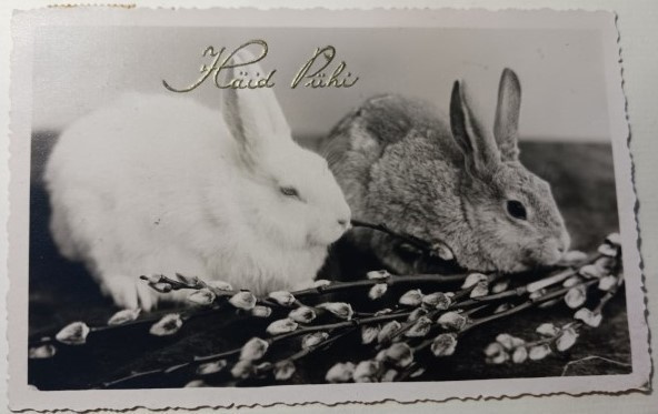 Kaksi pupua ja pajunkissat, mv vkpk, eestil. p. 1939