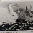 Kaksi pupua ja pajunkissat, mv vkpk, eestil. p. 1939 - pikkukuva 1