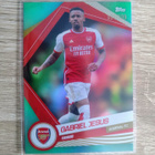 Gabriel Jesus numeroitu 21/399 - pikkukuva 1