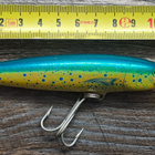 Rapala magnum! - pikkukuva 2