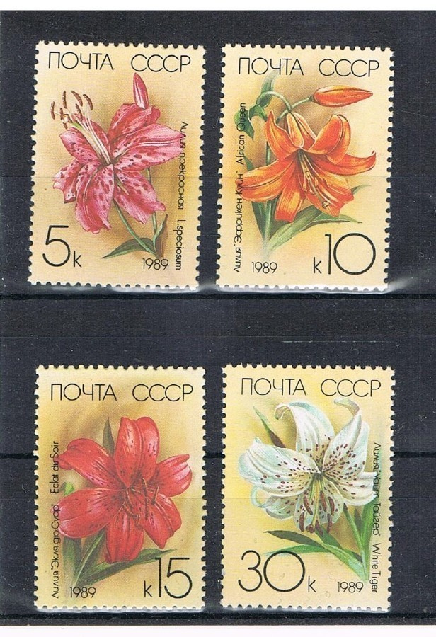 CCCP 1989 - Kukkia liljoja  ++