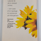 Ole Zofting-Larsen : Köy - den tyrkiske landsby (kotelossa) - pikkukuva 2