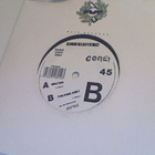 CORE !  ::  MELTING / THE KING AND I :: VINYYLI 7"   1991 - pikkukuva 1