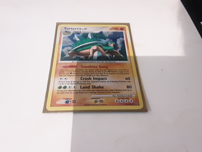 Torterra 11/100