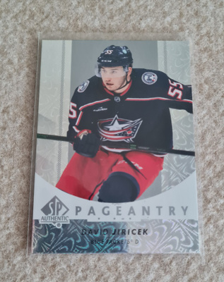 2022-23 SP Authentic Pageantry #P85 David Jiricek
