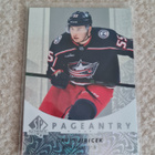 2022-23 SP Authentic Pageantry #P85 David Jiricek - pikkukuva 1