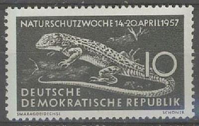 DDR Mi 562 ++