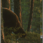 SUOMEN POSTIMERKIT 1989 - pikkukuva 4