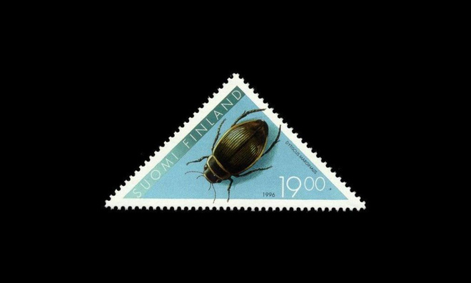 1346 ** Kovakuoriainen (1996)