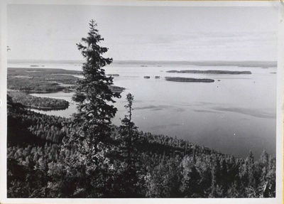 KOLI YLÄKOLI -leimalla kulkenut kortti Lappeenrantaan 1956