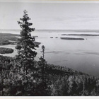 KOLI YLÄKOLI -leimalla kulkenut kortti Lappeenrantaan 1956 - pikkukuva 1