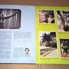 JAN LINDBLAD NÄRÄ NATUREN LP RCA 1977 - pikkukuva 2