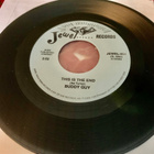 BUDDY GUY: This Is The End * I Hope You Come Back Home - pikkukuva 1