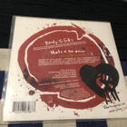 Rise  Against Ready to fall EU valkoinen vinyyli PUNK 2006 - pikkukuva 2