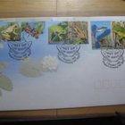Australia sammakko FDC-kuori  vuodelta 1999 - pikkukuva 1