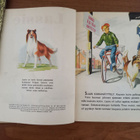Lassie näyttää tietä 1.p 1957 - pikkukuva 4
