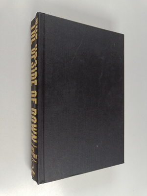 Thomas F. Homer-Dixon : The upside of down : catastrophe,...