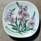 Arabia, Esteri Tomula, Botanica, Maitohorsma - pikkukuva 3