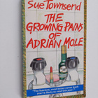 Sue Townsend : The growing pains of Adrian Mole - pikkukuva 1