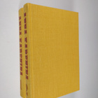 Leo Tolstoi : Anna Karenina 1-2 - pikkukuva 1
