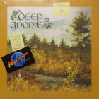DEEP GNOME - S/T - BROWN VINYL BELGIUM 2022 M/M 12" - pikkukuva 1