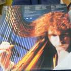 Andreas Vollenweider: Down to the Moon 1988 LP - pikkukuva 2