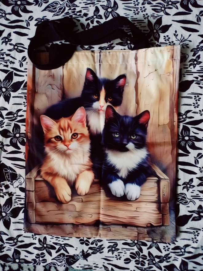 ~ Kissa kassi~