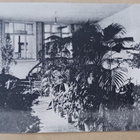 Vihti, Nummelan sanatorio, vehreä sisääntulohalli, 1911 - pikkukuva 1